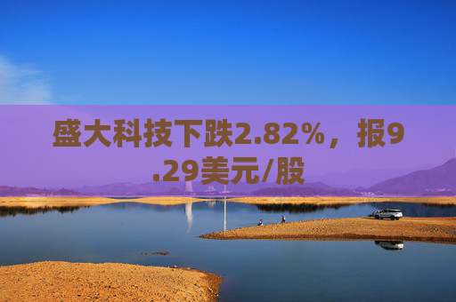 盛大科技下跌2.82%，报9.29美元/股