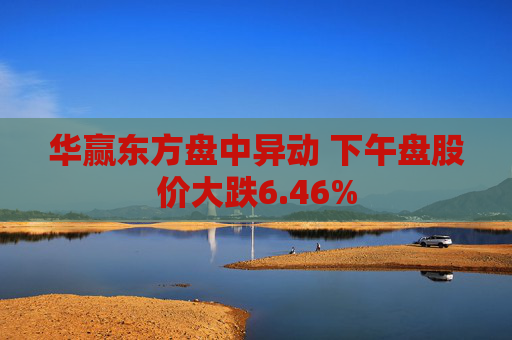 华赢东方盘中异动 下午盘股价大跌6.46%