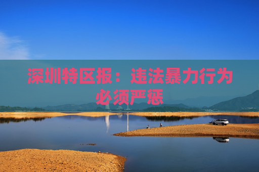 深圳特区报：违法暴力行为必须严惩