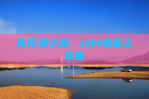 视频|李大霄：2689或底之依据