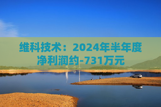 维科技术：2024年半年度净利润约-731万元