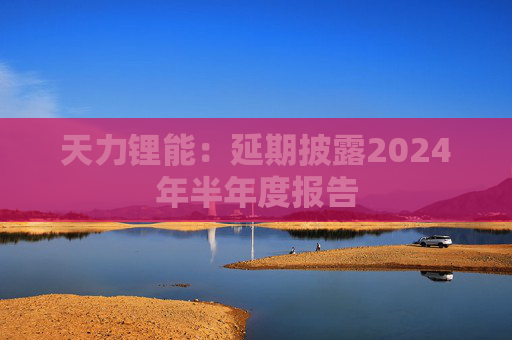 天力锂能：延期披露2024年半年度报告