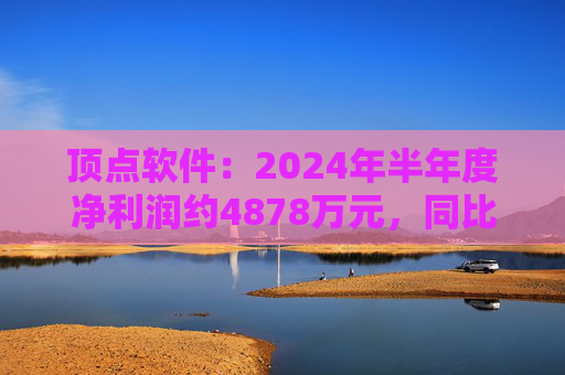 顶点软件：2024年半年度净利润约4878万元，同比下降21.11%