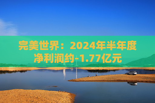 完美世界：2024年半年度净利润约-1.77亿元