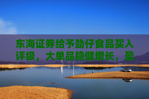 东海证券给予劲仔食品买入评级，大单品稳健增长，盈利水平持续提升