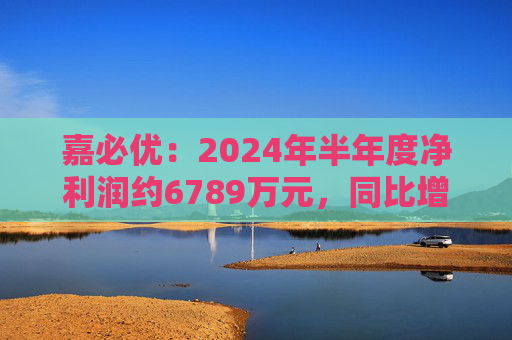 嘉必优：2024年半年度净利润约6789万元，同比增加94.82%