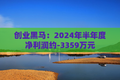 创业黑马：2024年半年度净利润约-3359万元