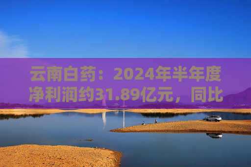 云南白药：2024年半年度净利润约31.89亿元，同比增加12.76%