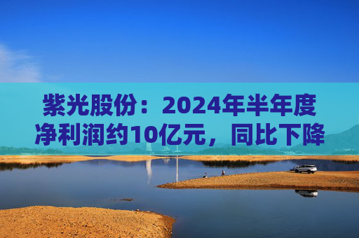 紫光股份：2024年半年度净利润约10亿元，同比下降2.13%