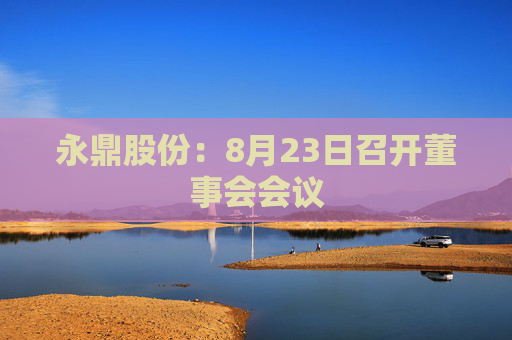 永鼎股份：8月23日召开董事会会议