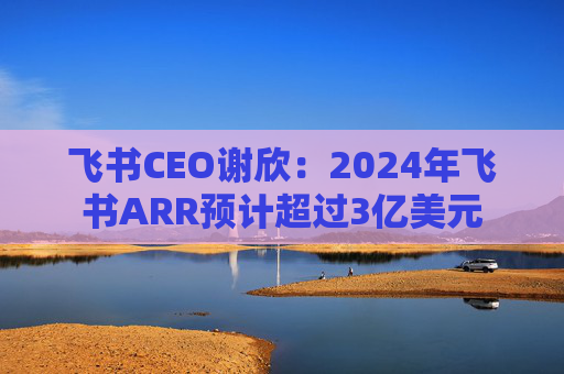 飞书CEO谢欣：2024年飞书ARR预计超过3亿美元