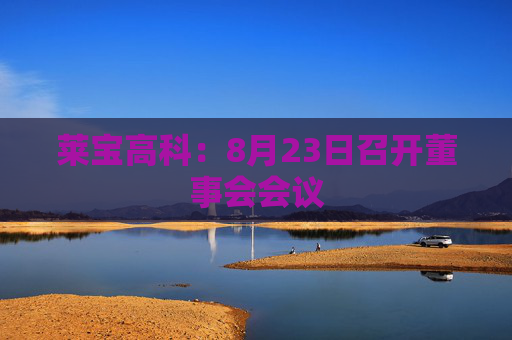 莱宝高科：8月23日召开董事会会议