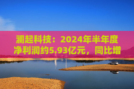 澜起科技：2024年半年度净利润约5.93亿元，同比增加624.63%