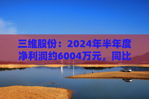 三维股份：2024年半年度净利润约6004万元，同比下降48.08%