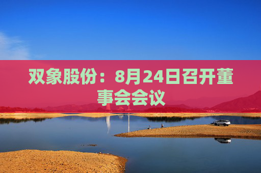 双象股份：8月24日召开董事会会议