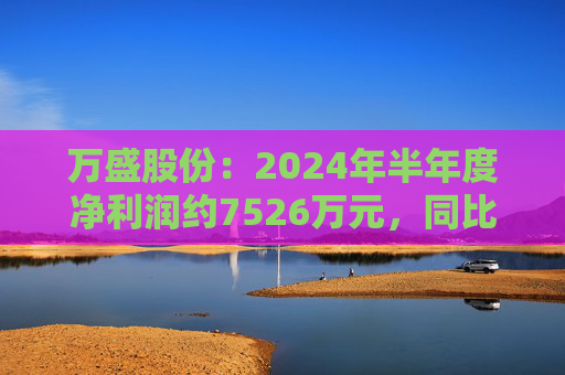 万盛股份：2024年半年度净利润约7526万元，同比下降34.94%