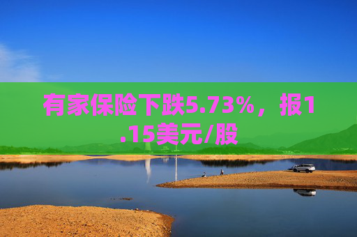 有家保险下跌5.73%，报1.15美元/股