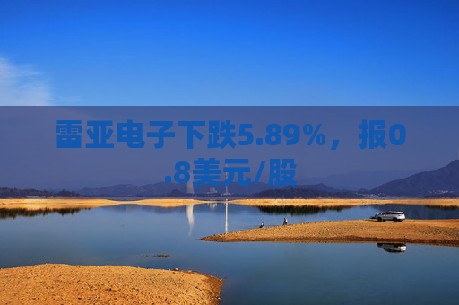 雷亚电子下跌5.89%，报0.8美元/股