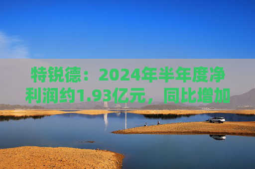 特锐德：2024年半年度净利润约1.93亿元，同比增加105.26%