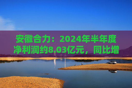 安徽合力：2024年半年度净利润约8.03亿元，同比增加22%