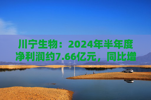 川宁生物：2024年半年度净利润约7.66亿元，同比增加96.05%