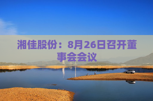 湘佳股份：8月26日召开董事会会议