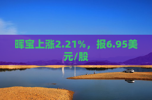 晖宝上涨2.21%，报6.95美元/股