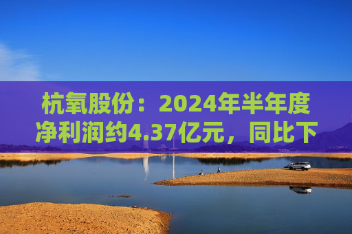 杭氧股份：2024年半年度净利润约4.37亿元，同比下降16.76%