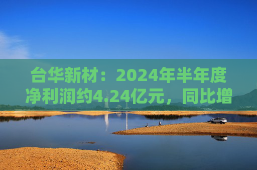 台华新材：2024年半年度净利润约4.24亿元，同比增加131.53%