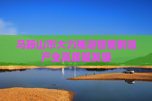 马鞍山市大力推进智能制造产业高质量发展