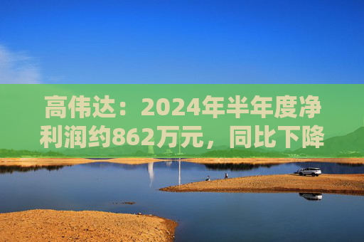 高伟达：2024年半年度净利润约862万元，同比下降41.41%