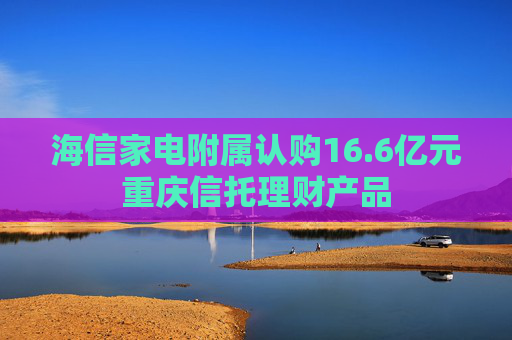 海信家电附属认购16.6亿元重庆信托理财产品