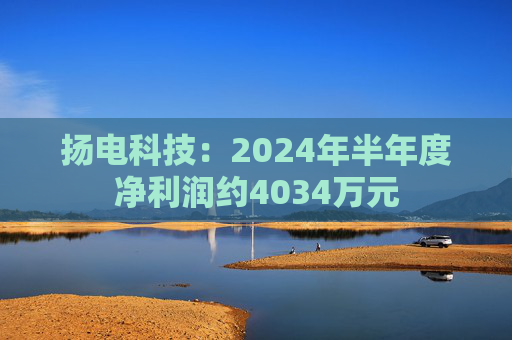 扬电科技：2024年半年度净利润约4034万元