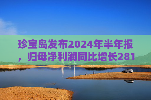 珍宝岛发布2024年半年报，归母净利润同比增长281.93%