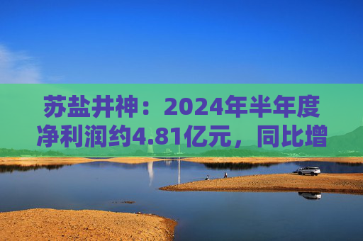 苏盐井神：2024年半年度净利润约4.81亿元，同比增加18.92%