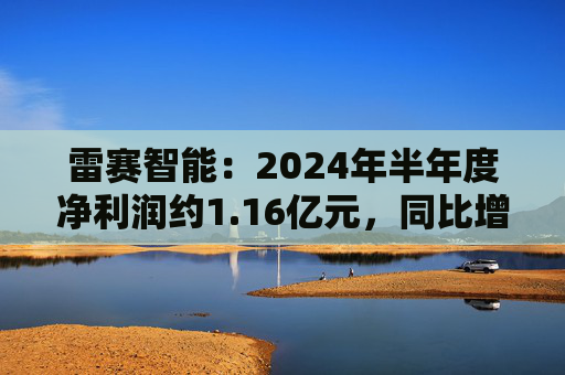 雷赛智能：2024年半年度净利润约1.16亿元，同比增加54.29%