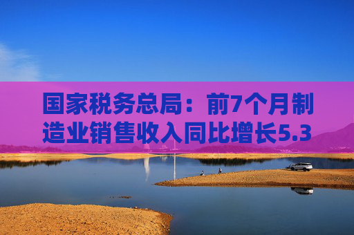 国家税务总局：前7个月制造业销售收入同比增长5.3%