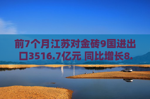 前7个月江苏对金砖9国进出口3516.7亿元 同比增长8.1%