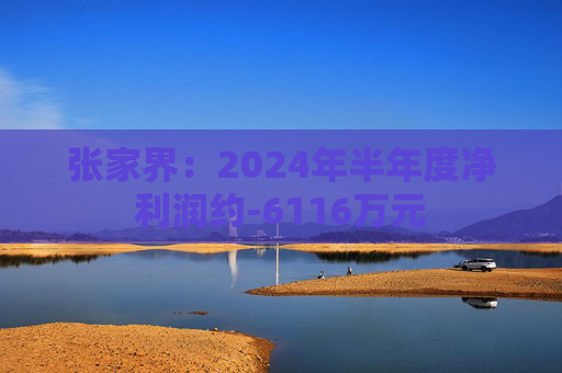 张家界：2024年半年度净利润约-6116万元