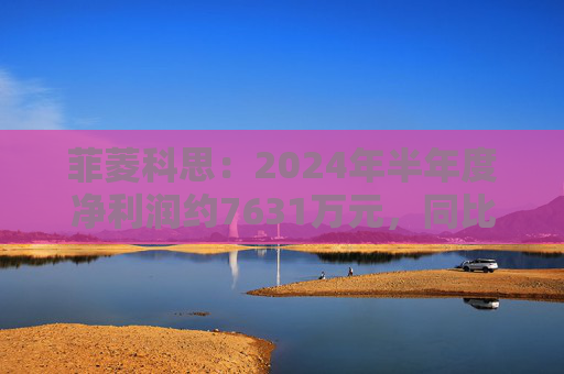 菲菱科思：2024年半年度净利润约7631万元，同比下降15.69%