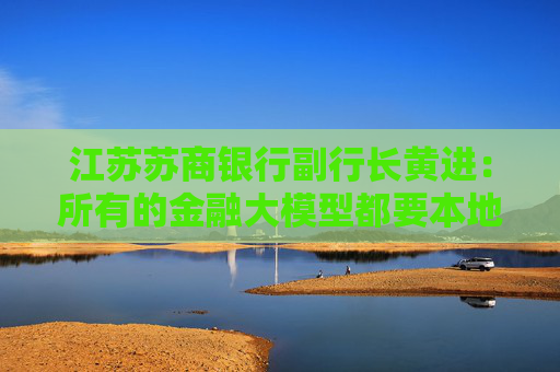 江苏苏商银行副行长黄进：所有的金融大模型都要本地化部署