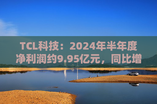 TCL科技：2024年半年度净利润约9.95亿元，同比增加192.28%