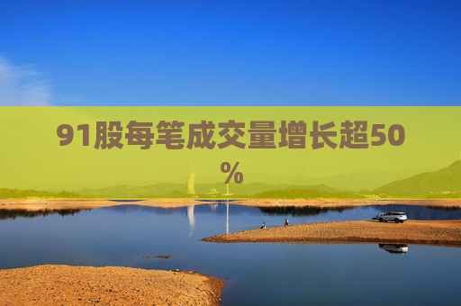 91股每笔成交量增长超50%