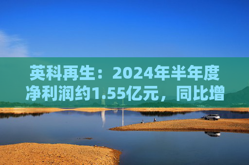 英科再生：2024年半年度净利润约1.55亿元，同比增加30.75%