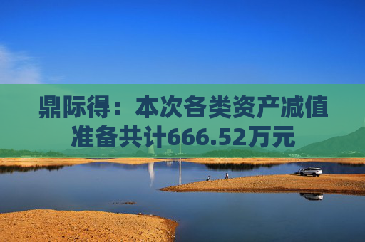 鼎际得：本次各类资产减值准备共计666.52万元