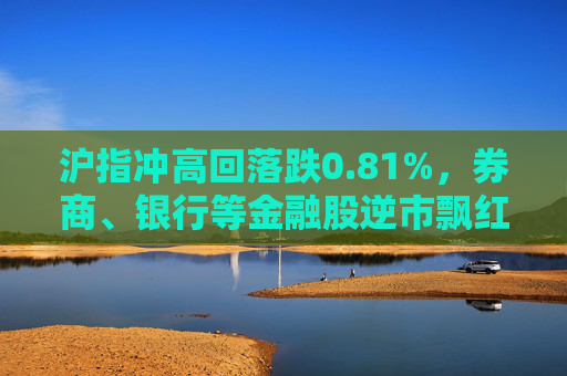 沪指冲高回落跌0.81%，券商、银行等金融股逆市飘红