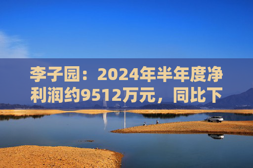 李子园：2024年半年度净利润约9512万元，同比下降29.29%