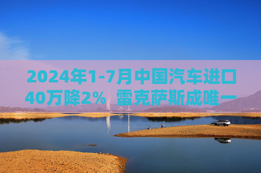 2024年1-7月中国汽车进口40万降2%  雷克萨斯成唯一销量正增长豪华品牌