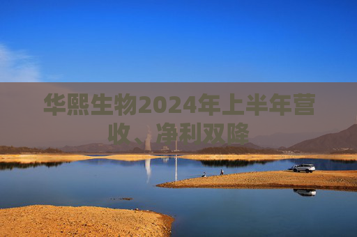 华熙生物2024年上半年营收、净利双降