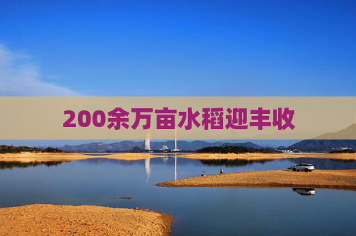 200余万亩水稻迎丰收